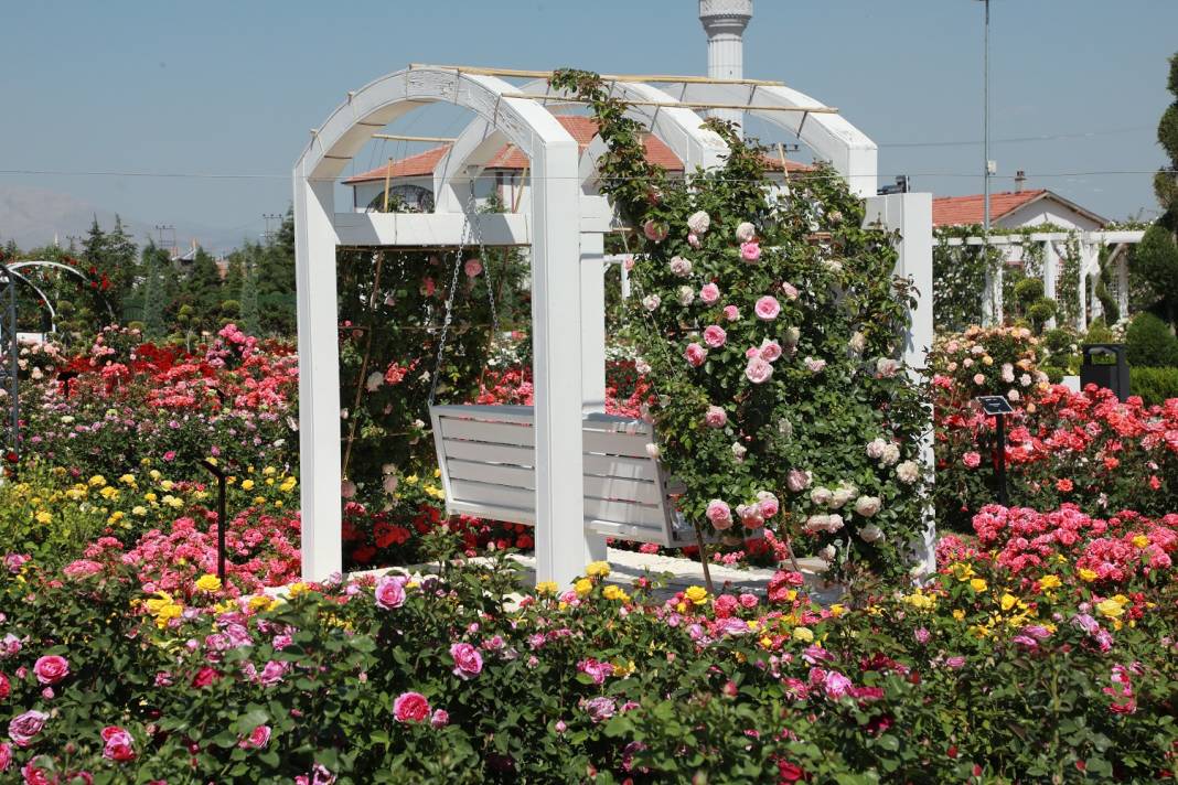 Doğanın en güzel tonları Karatay’da! Her detayıyla hayran bırakıyor 2